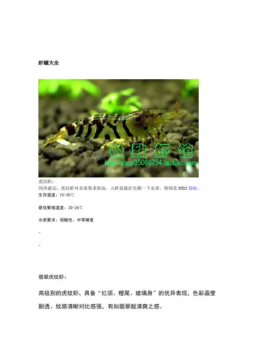 虾螺大全