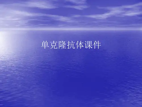 单克隆抗体PPT讲稿