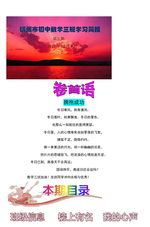 柳州市初中数学三班学习简报