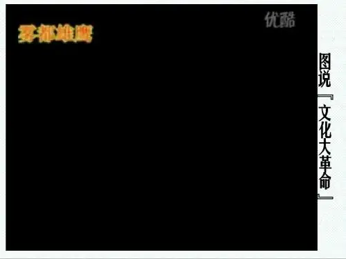 新人教版高中历史必修1第21课《民主政治的曲折发展》课件 精品