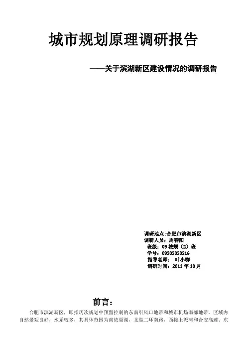 滨湖新区调研报告——周春阳