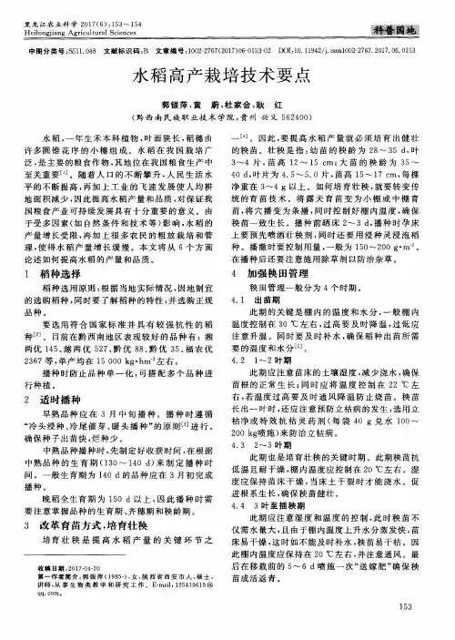 水稻高产栽培技术要点