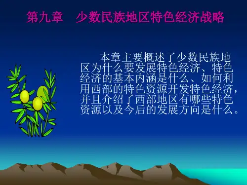 民族经济学