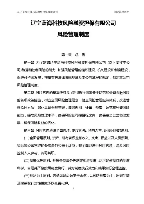 担保公司-风险管理制度