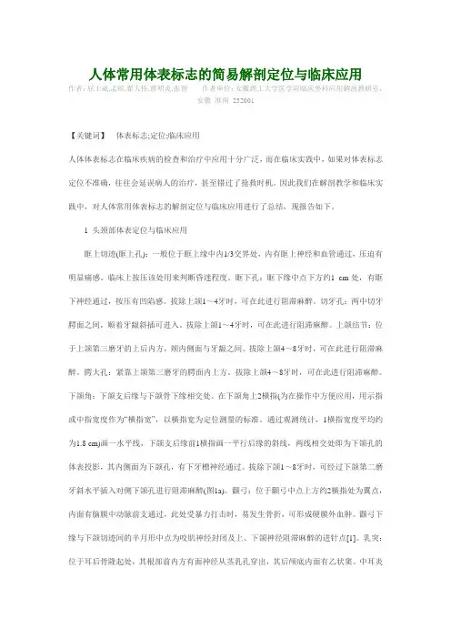 人体解剖定位