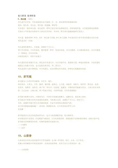 夏天野菜 夏季野菜