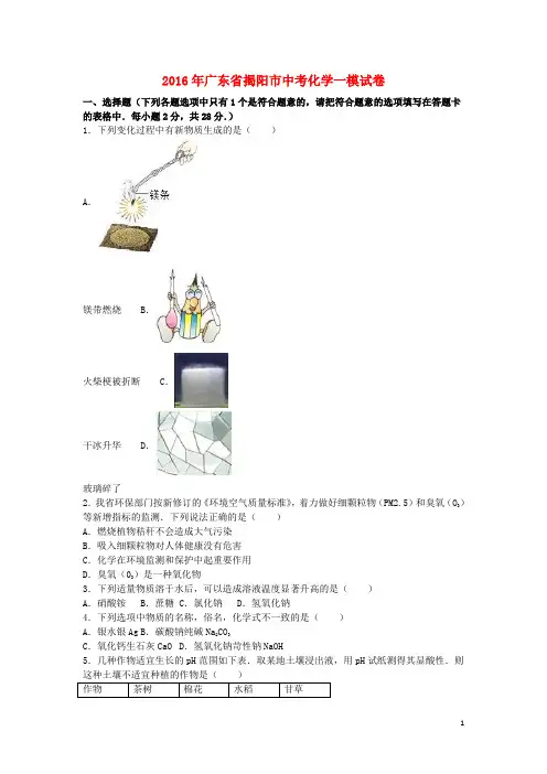 广东省揭阳市中考化学一模试卷(含解析)