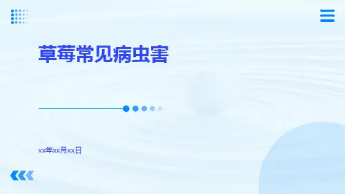 草莓常见病虫害