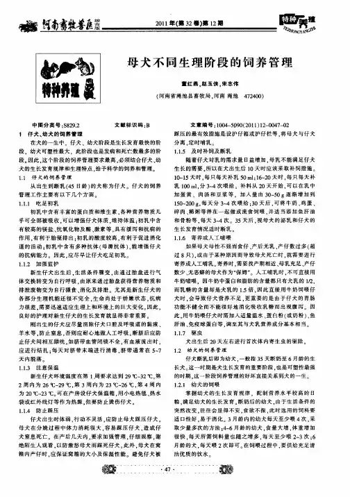 母犬不同生理阶段的饲养管理