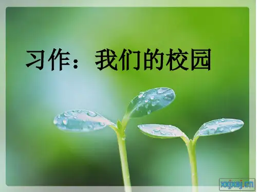 人教版四年级语文下册第一单元校园景观作文(精炼)