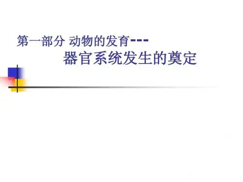 第四章 器官系统发生的奠定