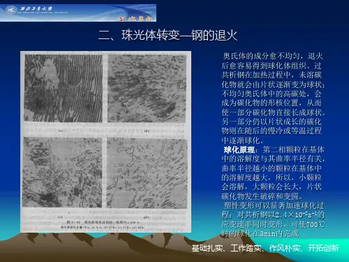 12、珠光体球化退火照片