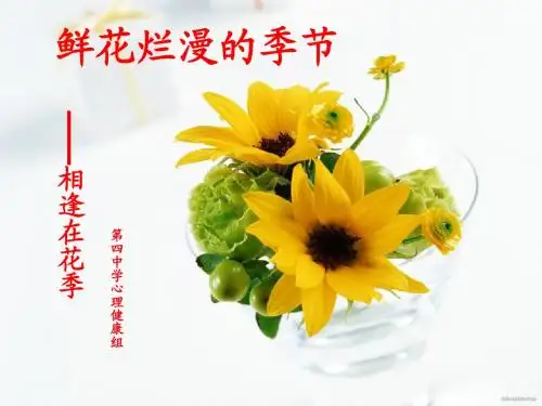 相逢在花季