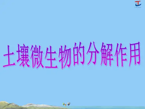 34.土壤微生物的分解作用