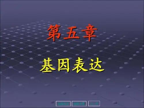 基因表达