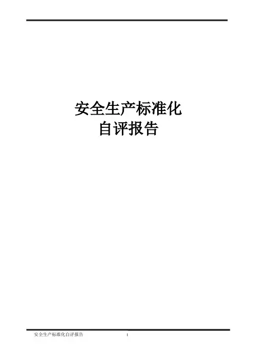 安全生产标准化自评报告 2