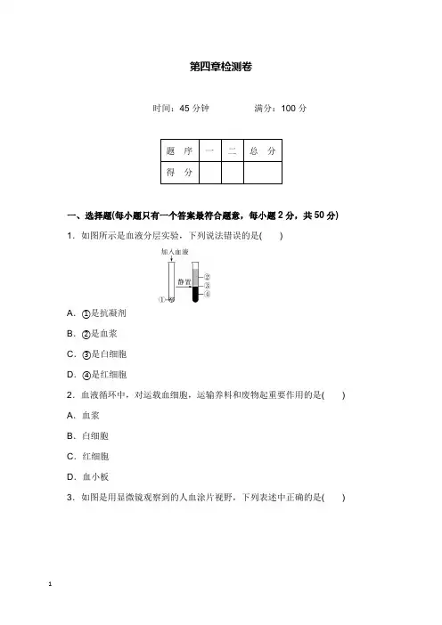 2019-2020年新人教版初中生物七年级下册第四章检测卷及答案.docx