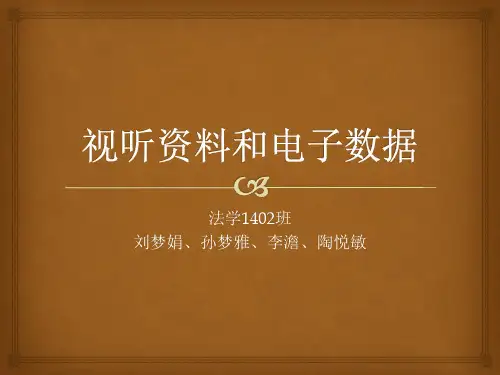 视听资料和电子数据 新