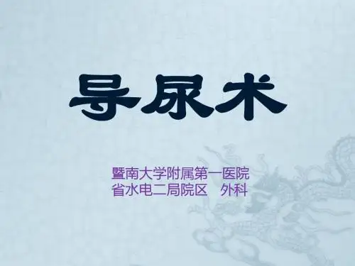 瀵煎翱链xPPT课件