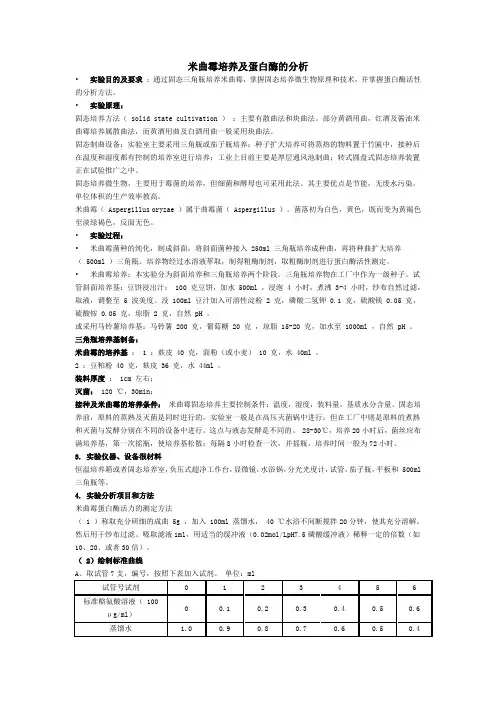 米曲霉培养及蛋白酶分析