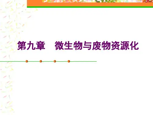 微生物与废物资源化分析解析