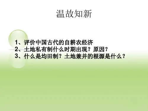 第4课农耕时代的手工业(修改)