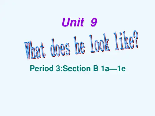 【名校精品】 2Unit 9 What does he look likePeriod课件3
