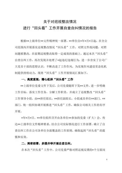 关于对巡视整改情况进行“回头看”工作开展自查自纠情况的报告