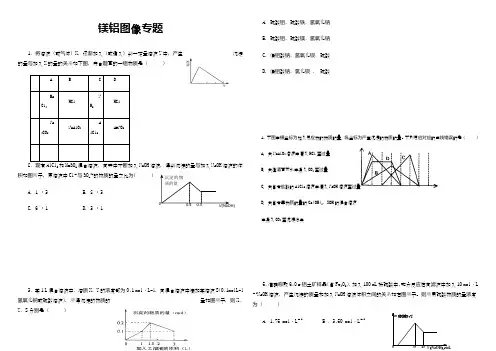 镁铝图像专题(含答案)