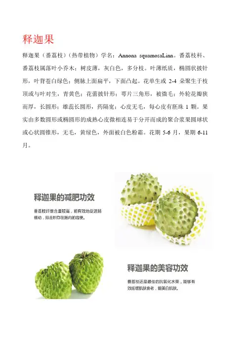 水果品种图