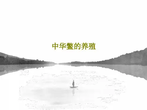 中华鳖的养殖50页PPT