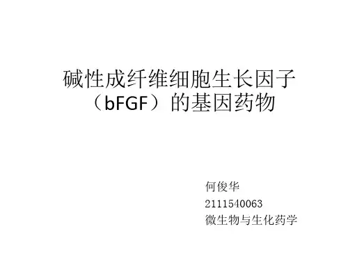 bFGF制成的基因工程药物