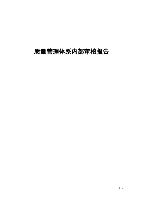内审报告