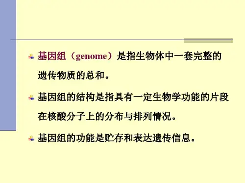 基因组的结构和功能