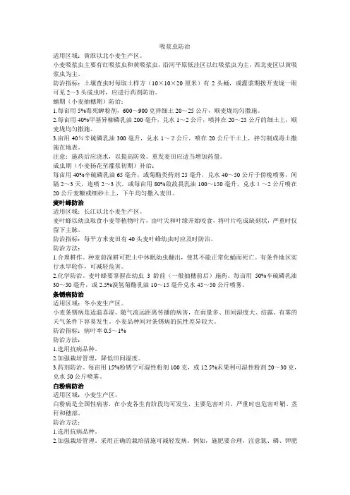 小麦常见病虫害防治技术