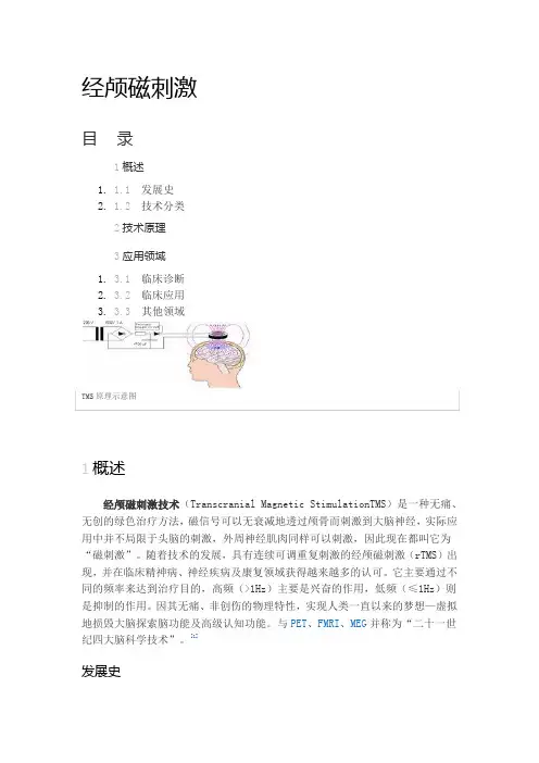 经颅磁刺激