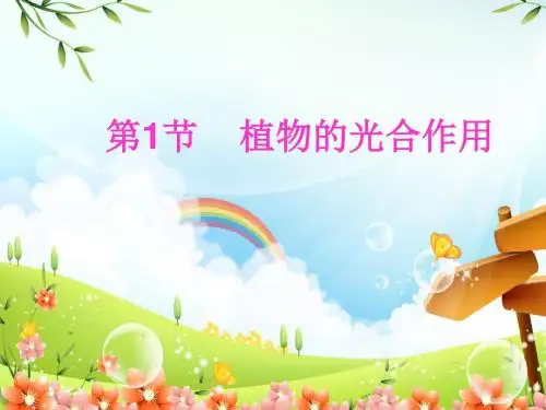 苏科版七年级生物上册第四章植物的光合作用