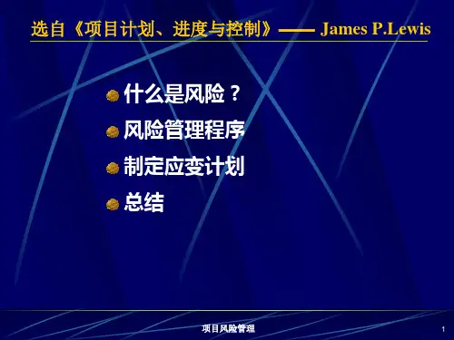 项目风险管理(2).pptx