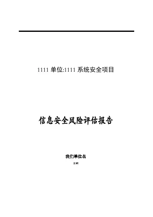 信息安全风险评估报告 