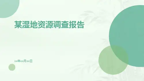 某湿地资源调查报告