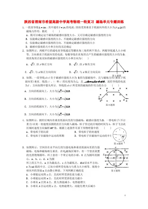 陕西省渭南市希望高级中学高考物理一轮复习 磁场单元专题训练