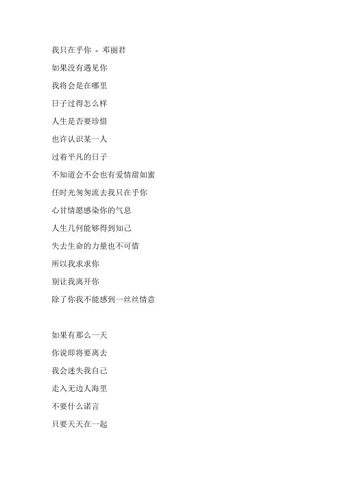 我只在乎你   歌词