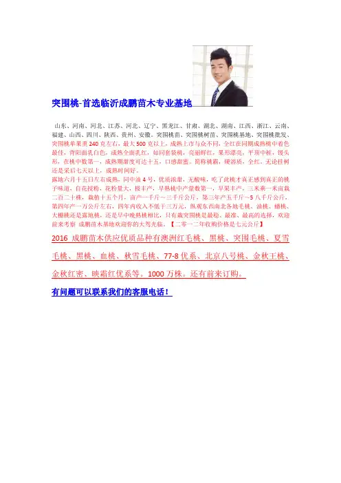 突围桃