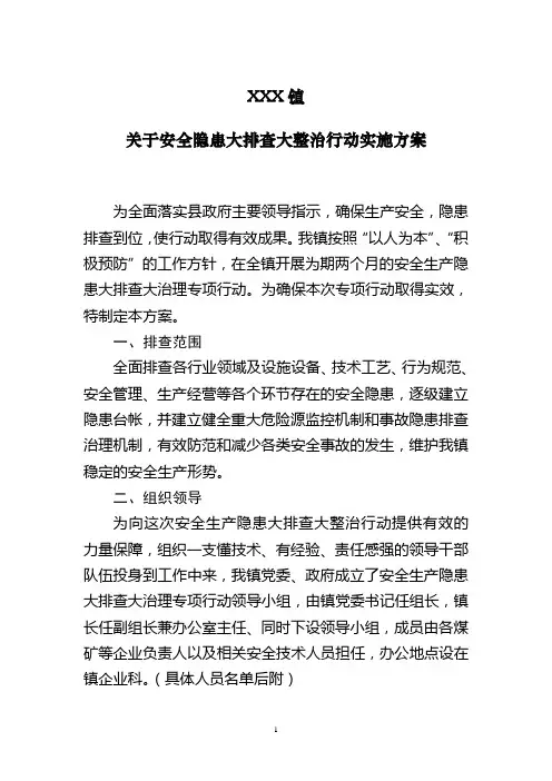 关于安全隐患大排查大整治行动实施方案