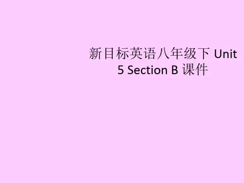 英语：Unit 5 If you go to the party,you’ll have a great time Section B课件(人教新目标八年级下)