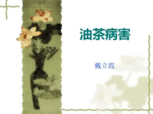 油茶病害(dlx)