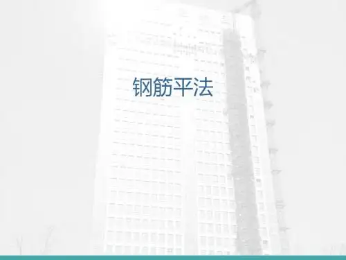 00地铁平法表示