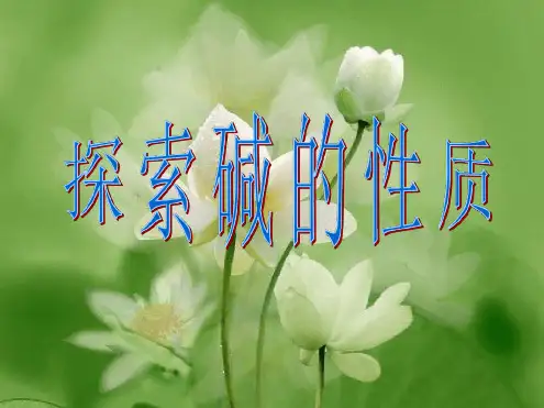 碱及其性质模板