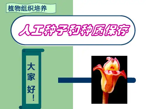 人工种子和 种质保存