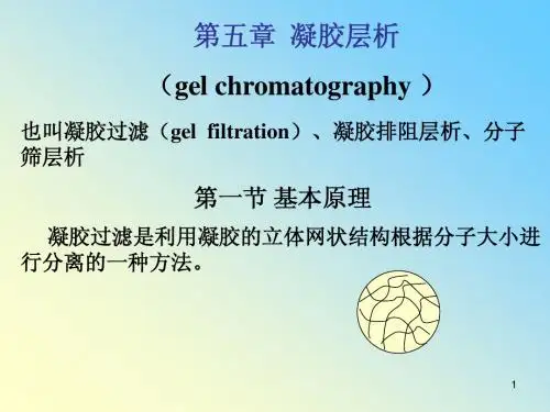 第五章 凝胶过滤